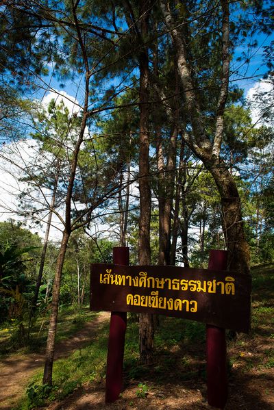 เทศกาลวันหยุดอาจเป็นช่วงเวลาที่น่าตื่นเต้นสำหรับเด็ก ๆ เทศกาลวันหยุดอาจเป็นช่วงเวลาที่น่าตื่นเต้นสำหรับเด็ก ๆ