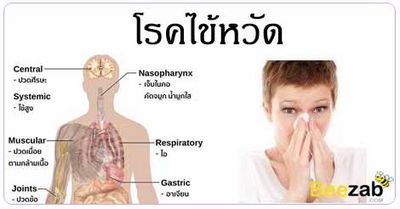 อาการไข้หวัด - คืออะไรและจะรักษาอย่างไร